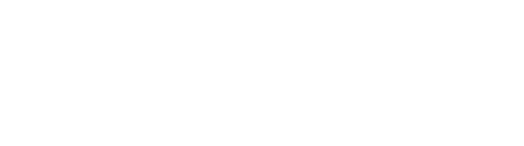 百路通物流 BLT Logistics 标志